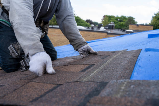 Best Roof Gutter Cleaning  in Gila Bend, AZ